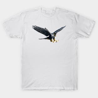 Graduation Falcon T-Shirt